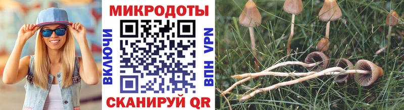 мега онион  Одинцово  Псилоцибиновые грибы Magic Shrooms 